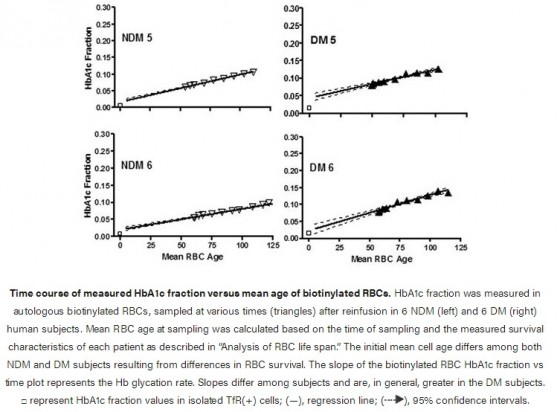 Red cell life span heterogeneity in hematologically normal people is sufficient to alter HbA1c