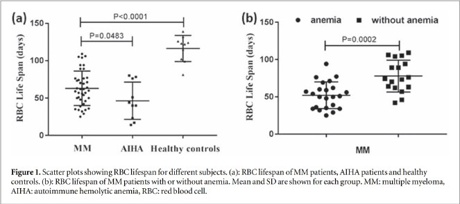 Use of carbon monoxide breath test to assess red blood cell lifespan in newly diagnosed multiple myeloma patients